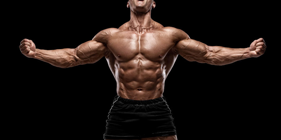 bodybuilder mostra potenziale fisico